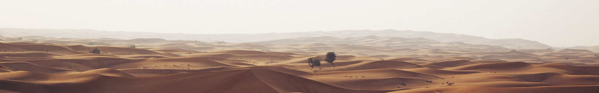 ɽеƼ޹˾